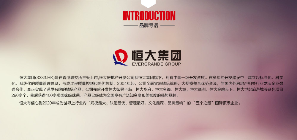 恒大集团介绍