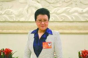 <strong>日本马桶盖热销反映中国制造创造能力弱</strong>