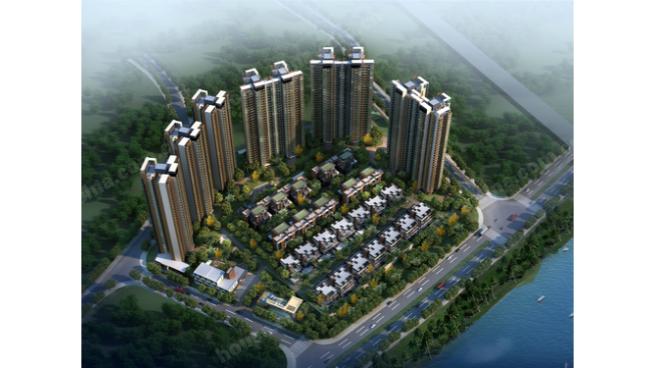 中山五星级酒店海鲜_海鲜主题餐厅各色美味尽收眼底