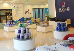  <strong> 嘉宝莉：十年百亿涂料王国</strong>