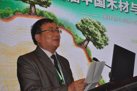首届中国木材与木制品市场供应链大会在漯河举