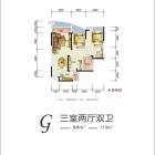 G户型