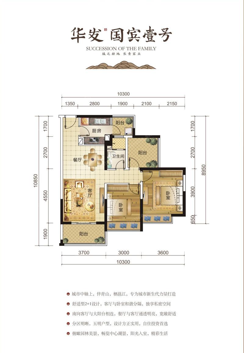 华发国宾壹号