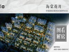 海棠花开