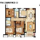 C2户型  面积约115平米