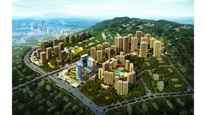 富洲新城人口_高庙村富洲新城航拍图