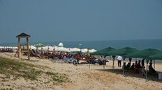 沙滩阳伞整齐排列