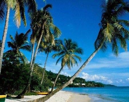 浅水湾海鲜节_年终出游12月最佳旅游地精选