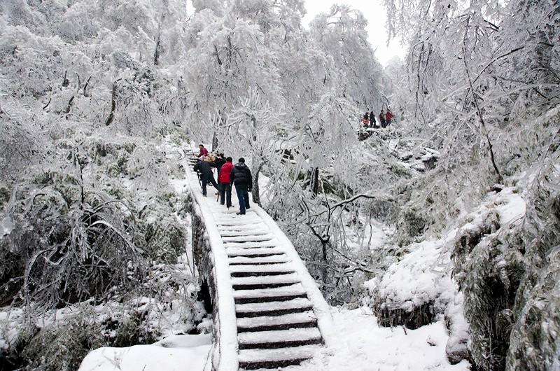 宜宾兴文县仙峰山、筠连下雪了