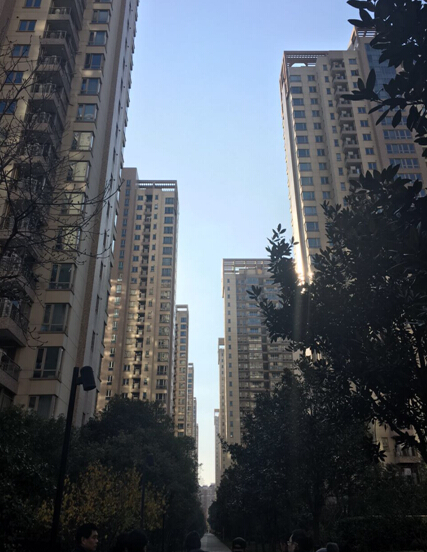 סʮȻոµϺʺӱĿ