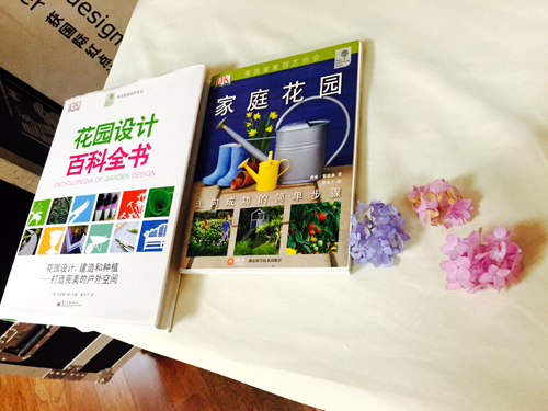丸子小姐的书