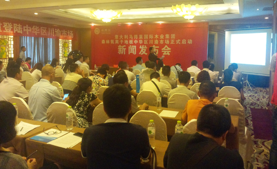 新闻发布会现场