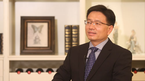 嘉华（中国）投资有限公司副董事谷文胜