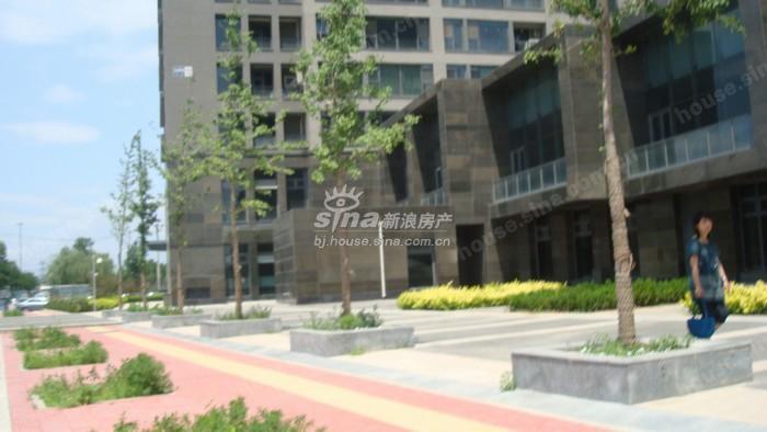 北京香颂人口_北京香颂(2)