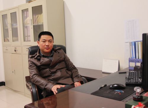 湖南楚天房地产开发有限公司副总经理汤沙