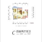 C户型