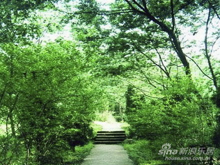 雷音铺森林公园