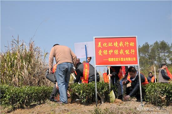爱护环境标语