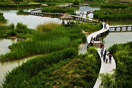 中天栖溪里:7千亩洋湖湿地公园成就健康人居