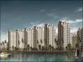 新湖明珠城