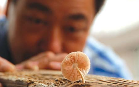 梅雨天家具“长蘑菇”让消费者很心烦