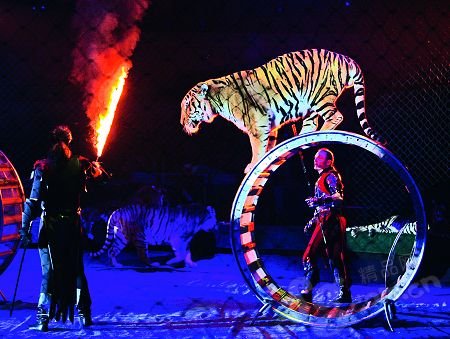 五国联合马戏团豪华阵容 献礼天房美郡国际城