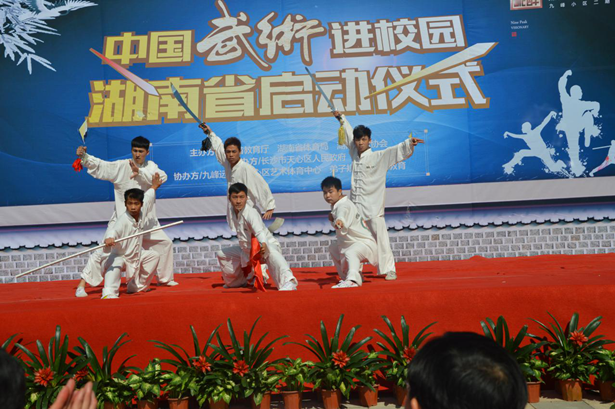 热烈祝贺中国武术进校园 湖南省启动仪式圆满
