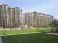 图为4号线孔雀大卫城社区实景