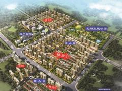 龙翔任兴1号