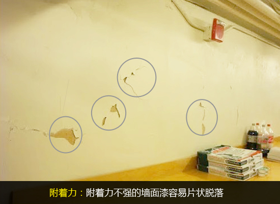 墙面漆选购
