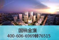 国锐·金嵿