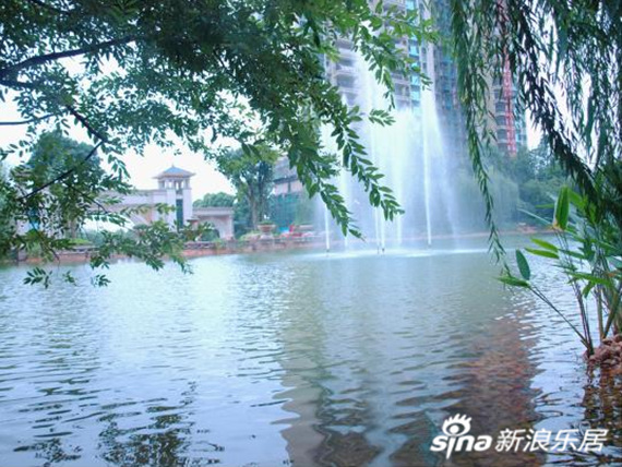 团购新余翡翠海鲜城_香港鲤鱼门海鲜城_翡翠原石图片大全(2)