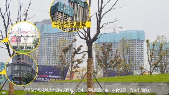 中建御景星城_武汉中建御景星城楼盘详情-武汉乐居