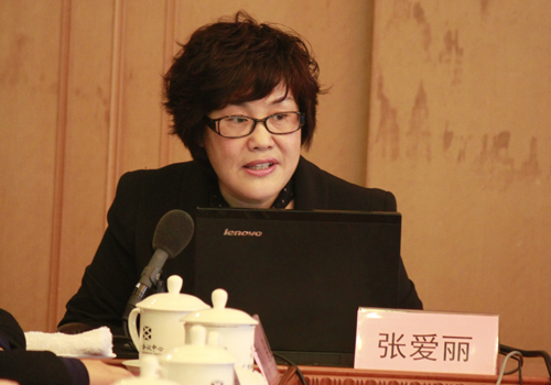 分会副秘书长张爱丽介绍了分会当前重点工作和问题