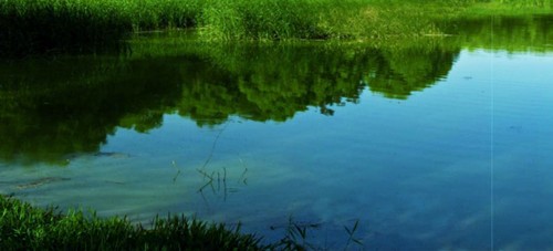 社区内第一大湖泊渤海湖，碧水连天，氤氲水汽