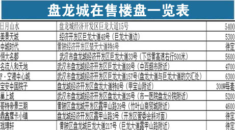 盘龙城2021gdp_黄陂区人民政府网站