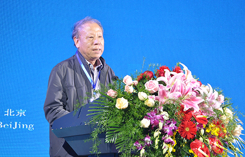 中国建筑装饰协会会长李秉仁先生