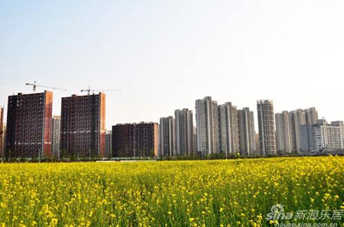 世界各国城镇人口_这张地图展示了各国城镇人口占总人口的比例.标注为深蓝色