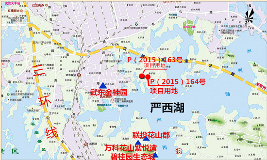 2015武汉最后一场土拍落锤 海伦堡底价拿青山贾岭村两地块