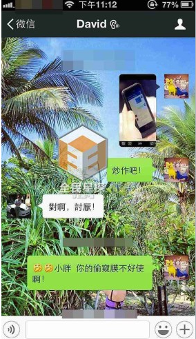 陶喆微信聊天截图