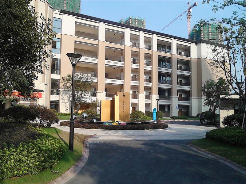 文三v集团集团视频自在:金地小学城中小学生感恩文理图片