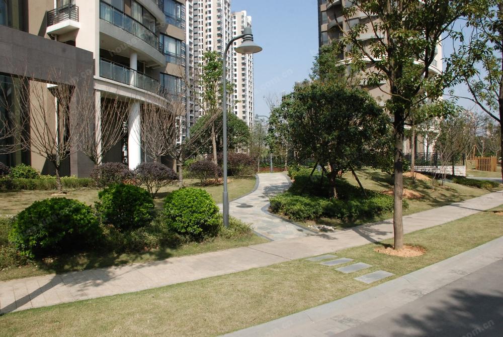 藏珑湖上国际花园-新浪乐居