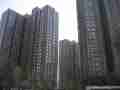 图为东贸国际花园社区实景