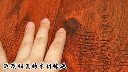 木材的结疤