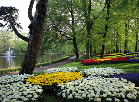 中国铁建国际花园 享万亩水氧亿万植物鲜氧