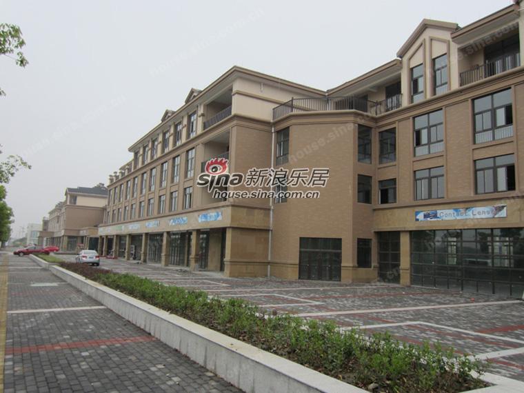湖北佰斯特集团老总