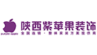 陕西紫苹果装饰