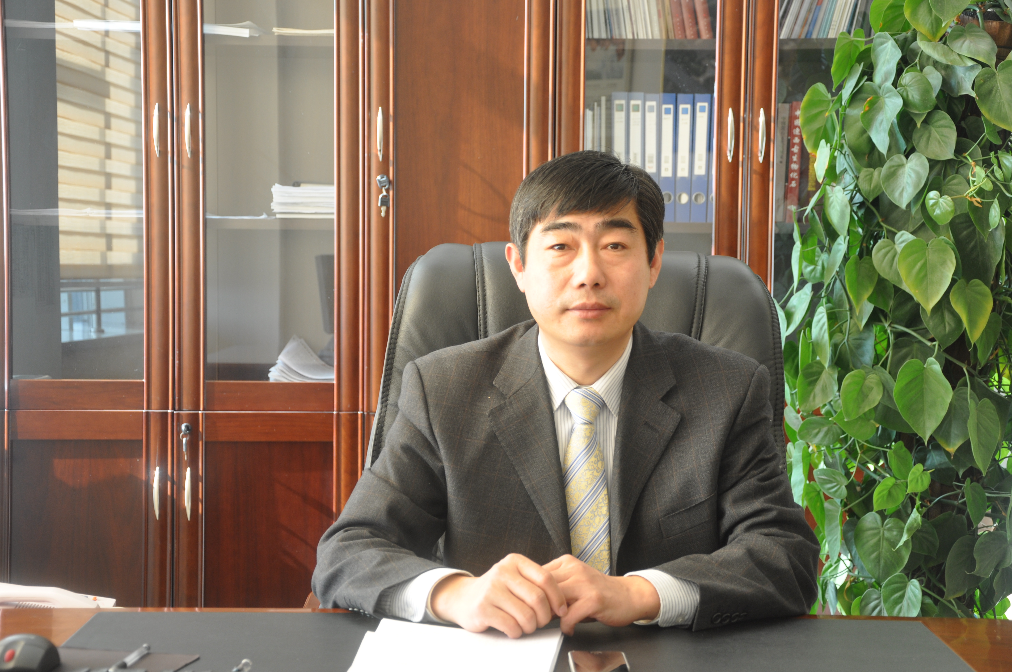 鲁商置业董事长_鲁商置业常春藤图片(2)